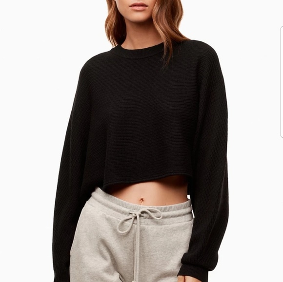 Aritzia Sweaters - 🍂🍁Wilfred Free Lolan Sweater🍁🍂